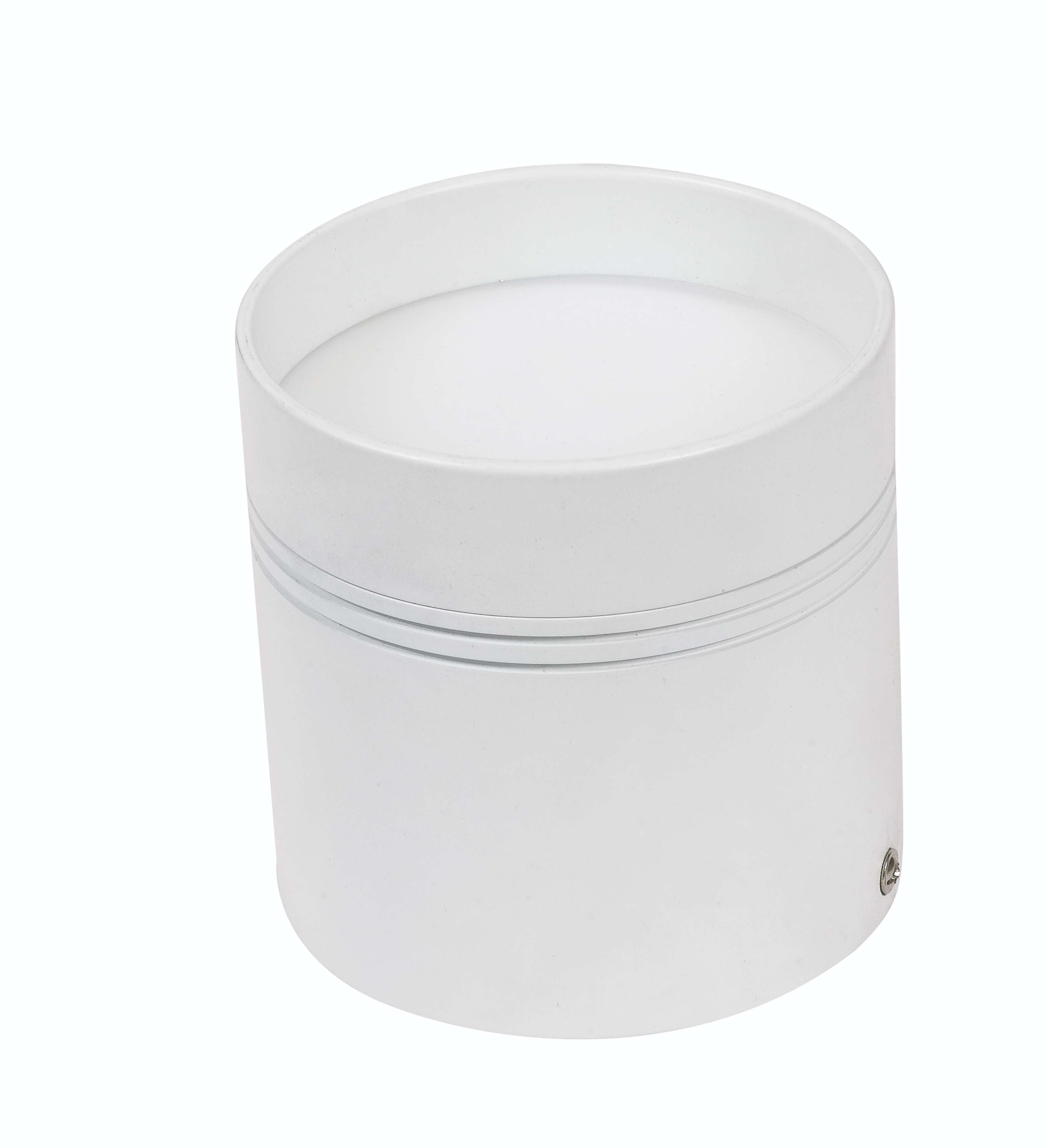 10W Cylindrical Surface DownLights