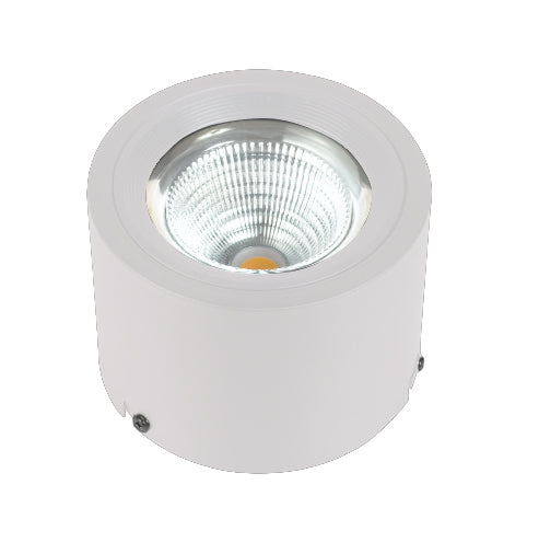 15W Cylindrical Surface DownLights