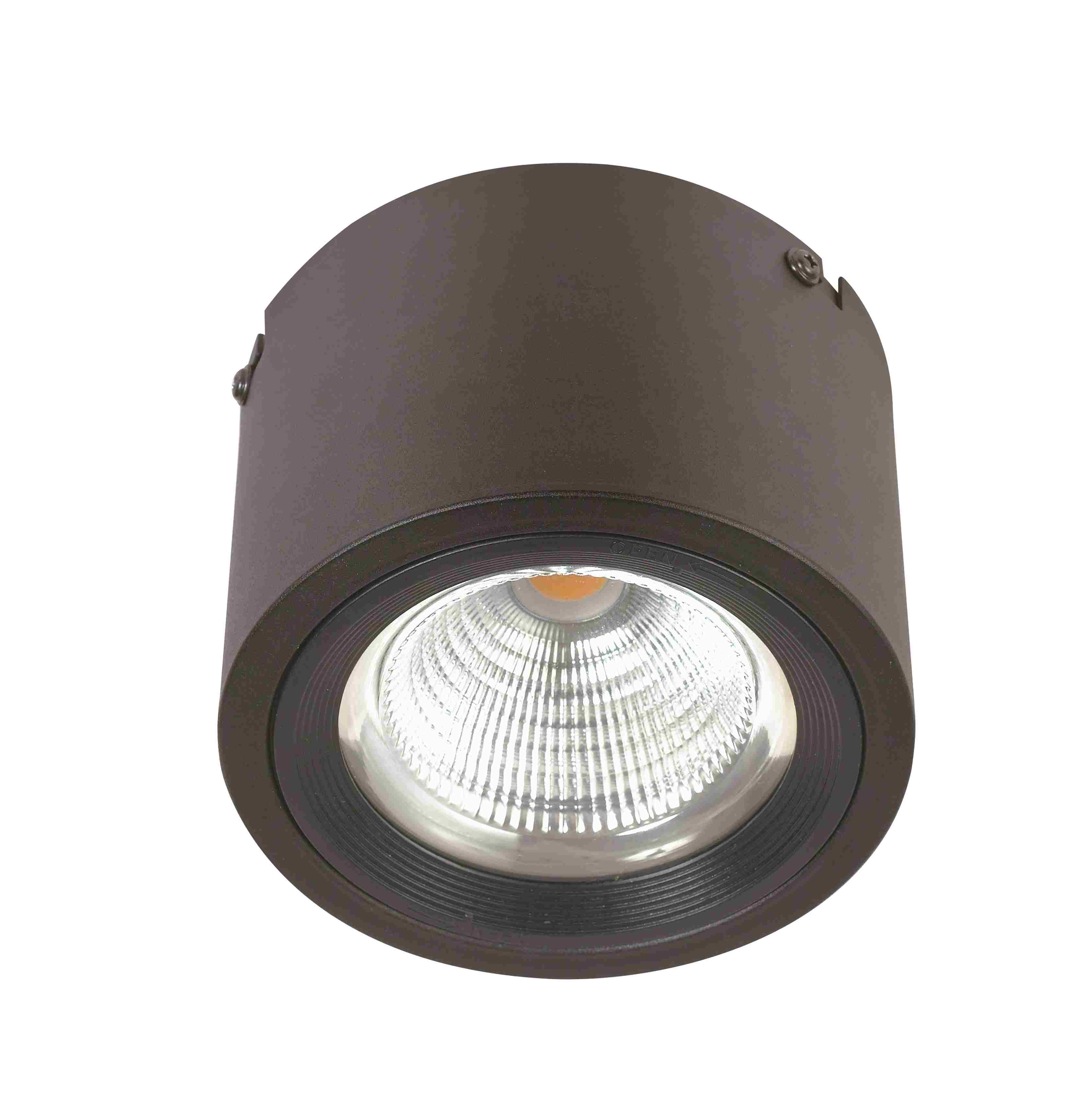 15W Cylindrical Surface DownLights