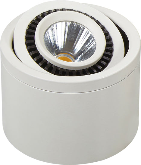 12W Cylindrical Surface DownLights