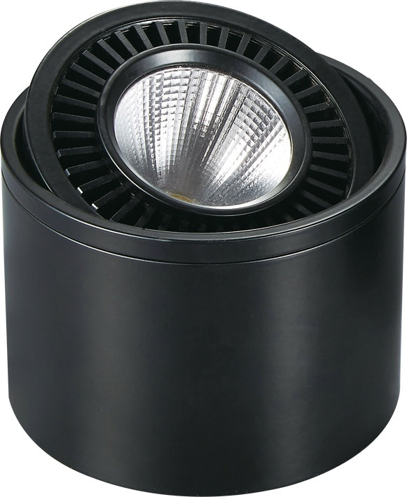 12W Cylindrical Surface DownLights